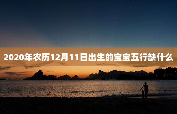 2020年农历12月11日出生的宝宝五行缺什么