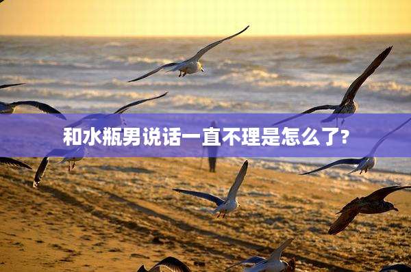 和水瓶男说话一直不理是怎么了?