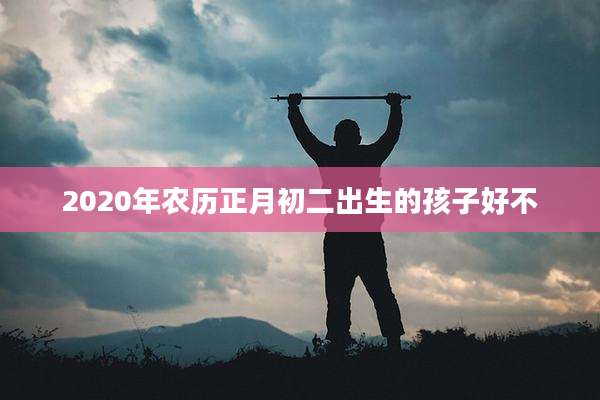 2020年农历正月初二出生的孩子好不