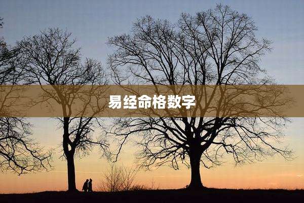 易经命格数字