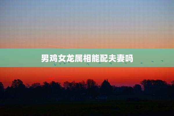 男鸡女龙属相能配夫妻吗