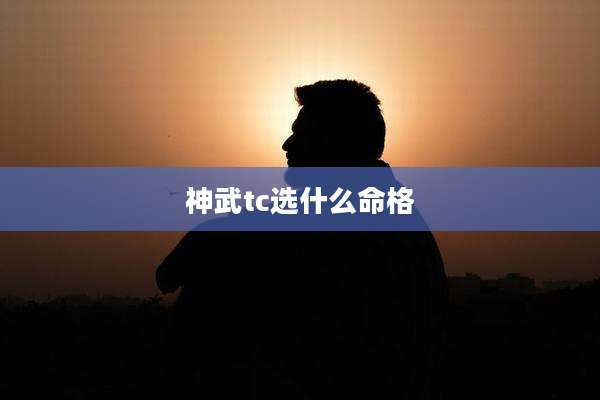 神武tc选什么命格