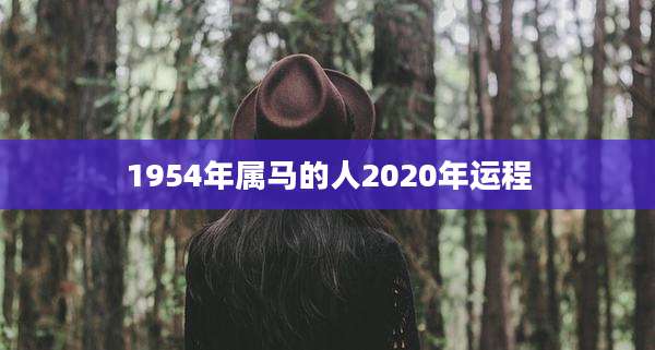 1954年属马的人2020年运程