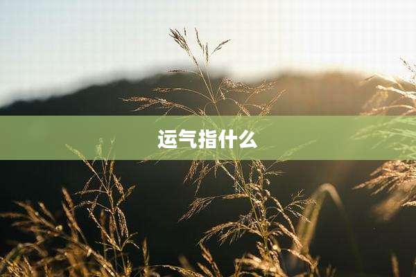 运气指什么