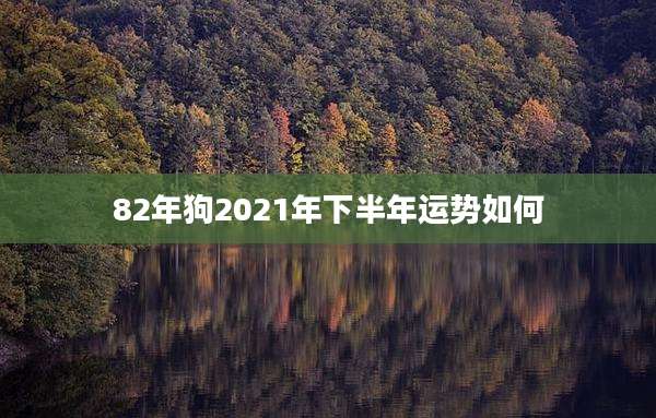 82年狗2021年下半年运势如何