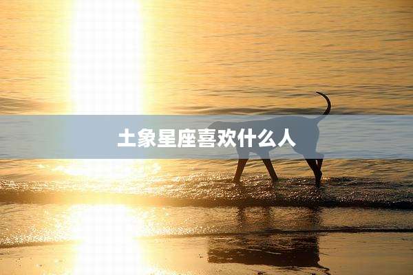 土象星座喜欢什么人