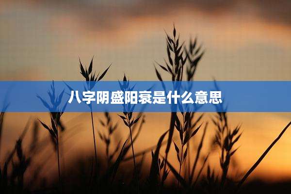 八字阴盛阳衰是什么意思