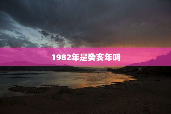 1982年是癸亥年吗