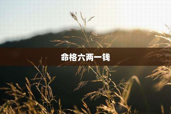 命格六两一钱