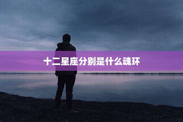 十二星座分别是什么魂环