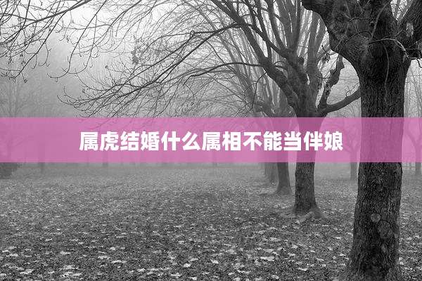 属虎结婚什么属相不能当伴娘