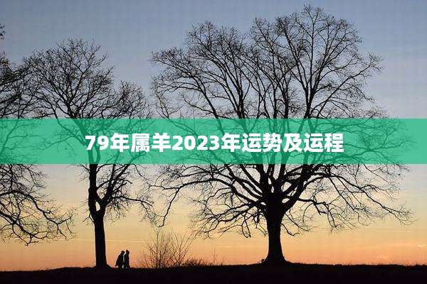 79年属羊2023年运势及运程