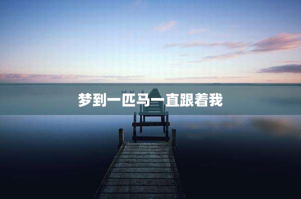 梦到一匹马一直跟着我