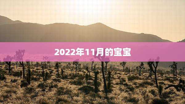 2022年11月的宝宝