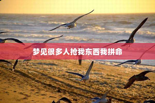 梦见很多人抢我东西我拼命