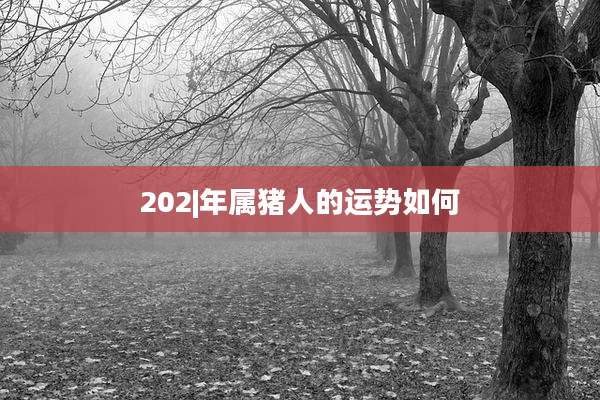 202|年属猪人的运势如何