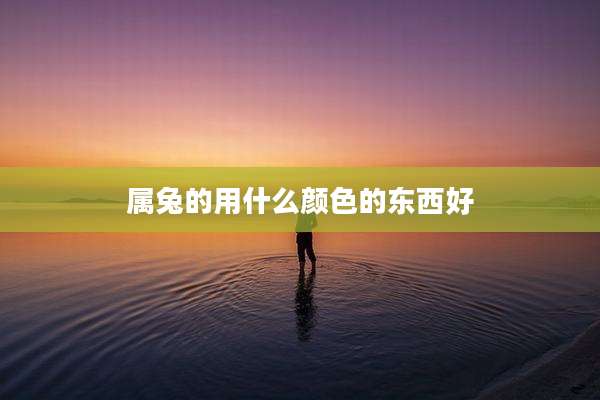 属兔的用什么颜色的东西好