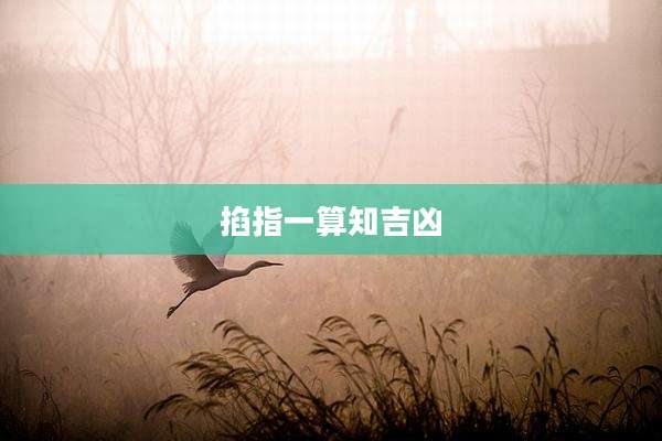 掐指一算知吉凶