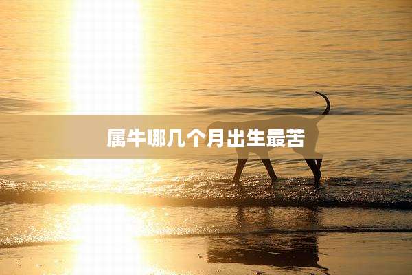 属牛哪几个月出生最苦