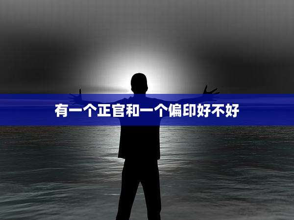 有一个正官和一个偏印好不好