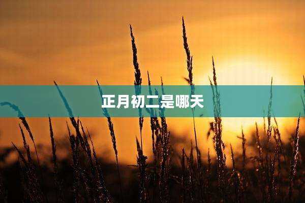 正月初二是哪天