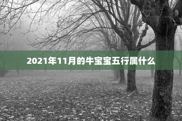 2021年11月的牛宝宝五行属什么