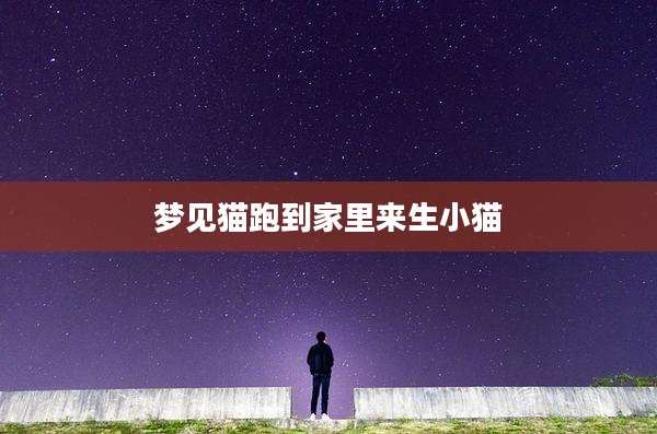 梦见猫跑到家里来生小猫