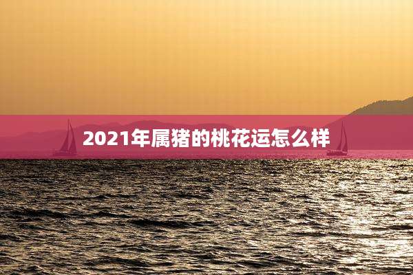 2021年属猪的桃花运怎么样