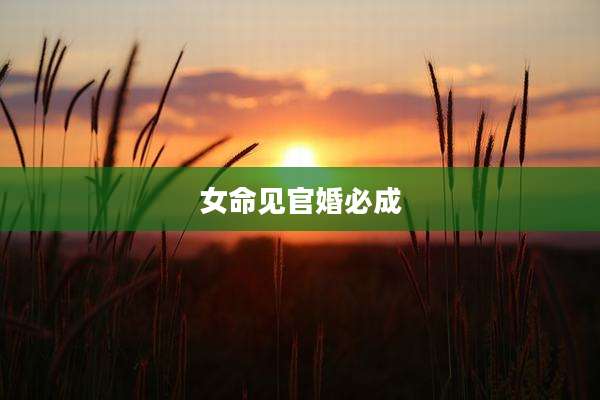 女命见官婚必成