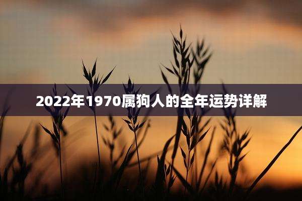 2022年1970属狗人的全年运势详解