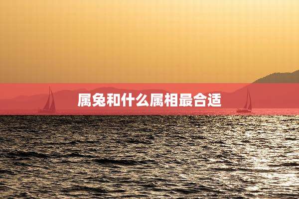 属兔和什么属相最合适