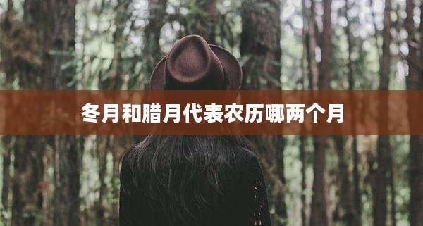 冬月和腊月代表农历哪两个月