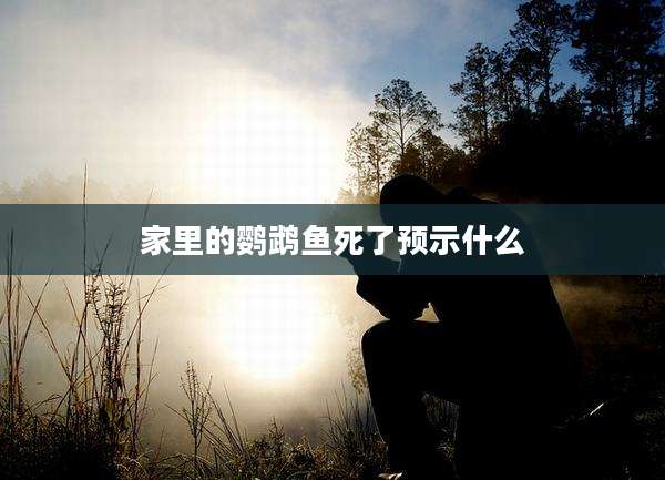 家里的鹦鹉鱼死了预示什么