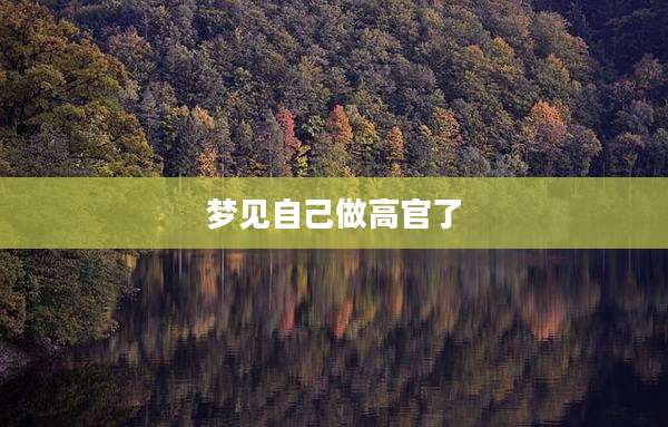 梦见自己做高官了