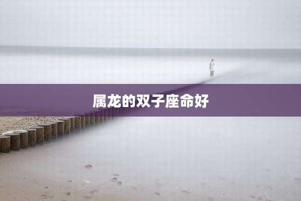 属龙的双子座命好