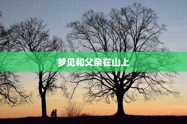 梦见和父亲在山上