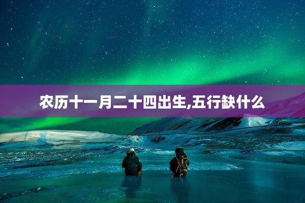 农历十一月二十四出生,五行缺什么