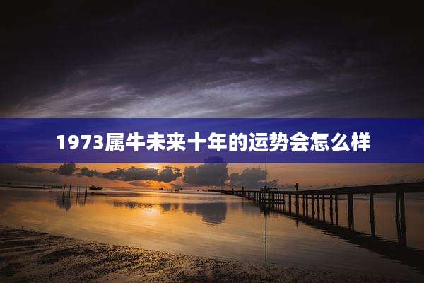 1973属牛未来十年的运势会怎么样
