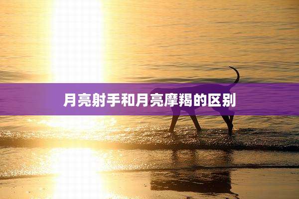 月亮射手和月亮摩羯的区别