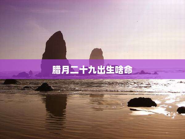腊月二十九出生啥命