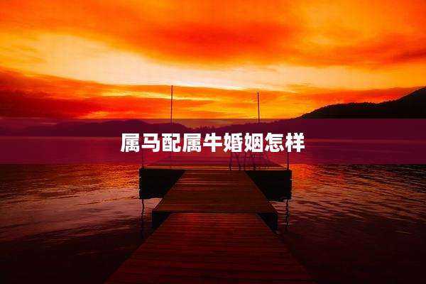 属马配属牛婚姻怎样