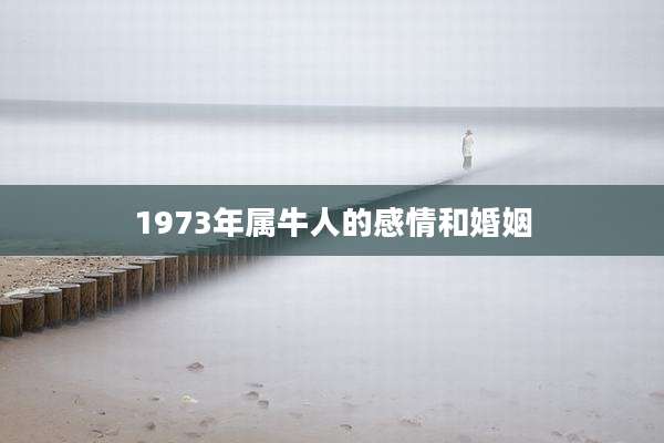 1973年属牛人的感情和婚姻