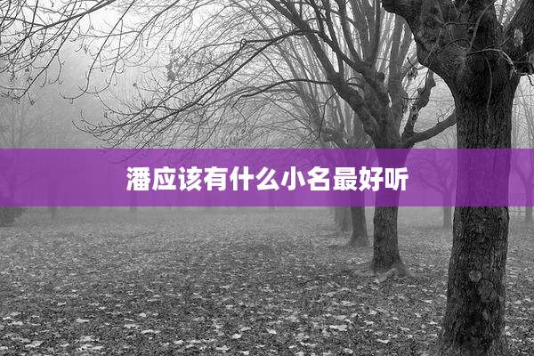 潘应该有什么小名最好听