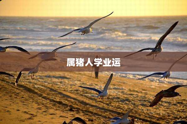 属猪人学业运