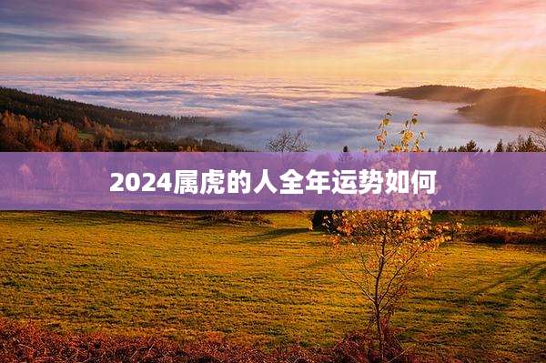 2024属虎的人全年运势如何