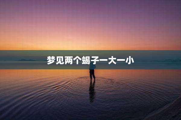 梦见两个蝎子一大一小