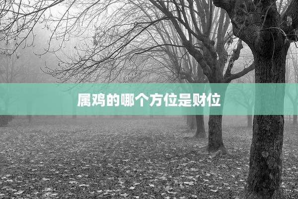 属鸡的哪个方位是财位