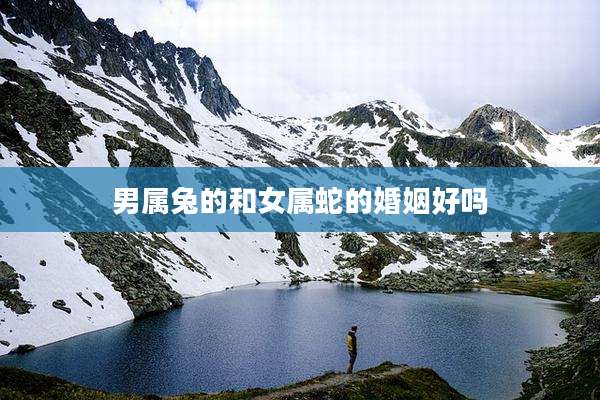 男属兔的和女属蛇的婚姻好吗