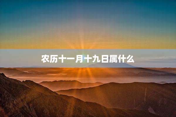 农历十一月十九日属什么