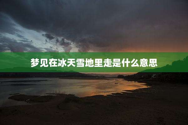 梦见在冰天雪地里走是什么意思